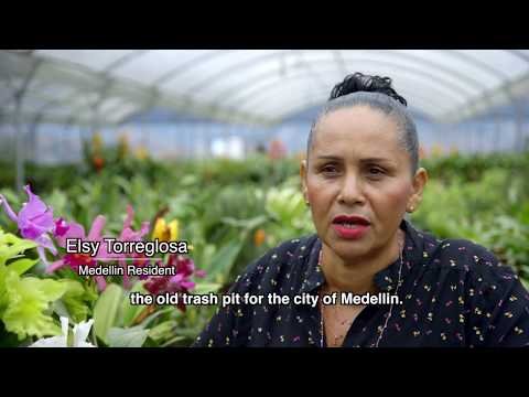 ACI Medellin Knowledge Sharing on Urban Transformation